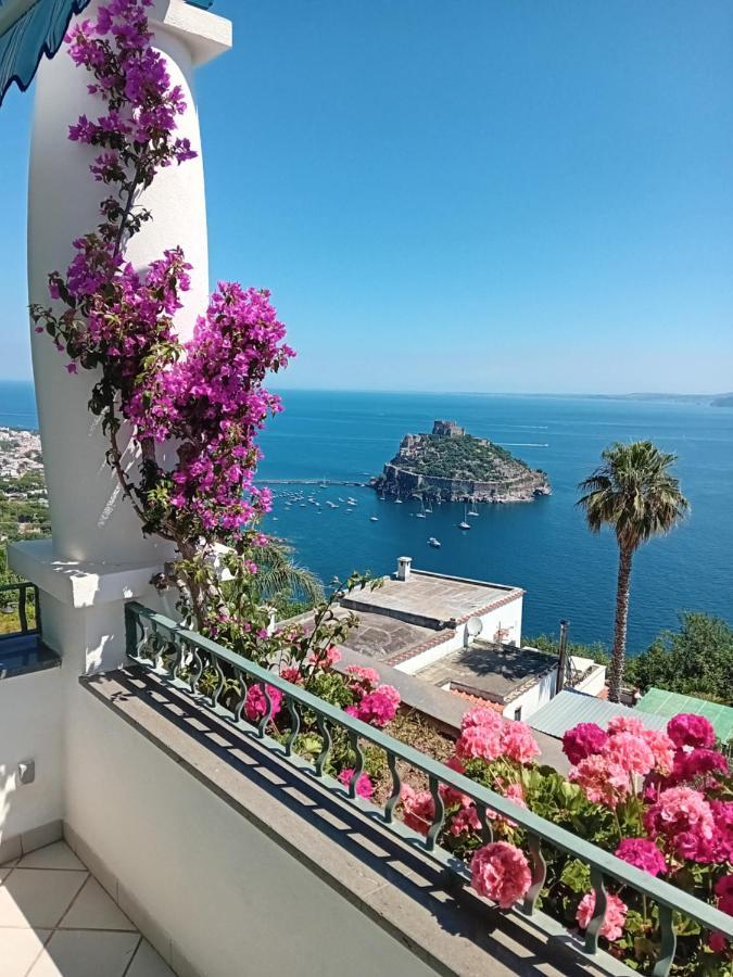 Bed and Breakfast La Pergola Del Torchio Ischia Exteriér fotografie